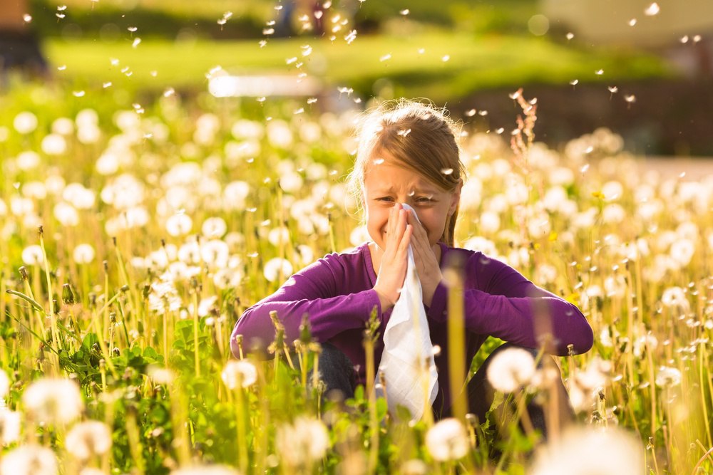 What is Hay Fever? (Signs, Symptoms, Causes, and Treatment Options)